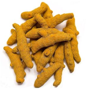 Alleppey Turmeric Finger