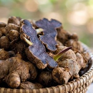 A Grade Black Ginger