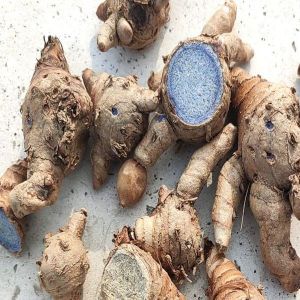 Fresh Black Turmeric Finger
