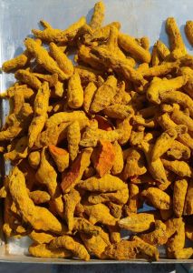 Salem Turmeric Finger