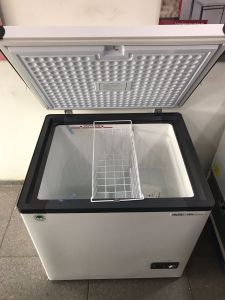 Deep Freezer Calibration Services