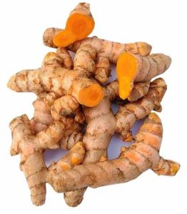 Fresh Raw Turmeric Root