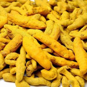 Premium Dry Turmeric Finger