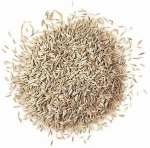 White Cumin Seeds