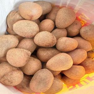 Whole Dried Copra Coconut