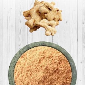 Dehydrated Ginger Powder
