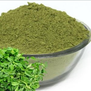 Dehydrated Kasuri Methi Powder