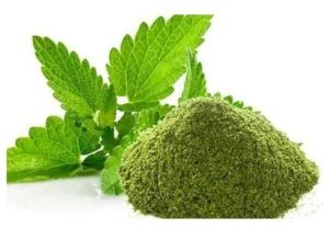 Dehydrated Mint Leaves Powder