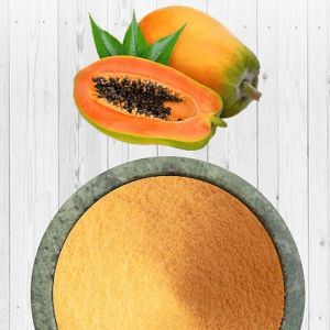Dehydrated Papaya Powder