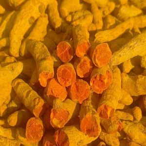 Organic Turmeric Finger