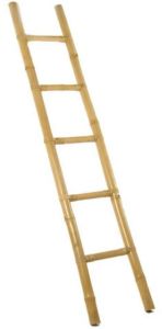 6 Feet Bamboo Ladder