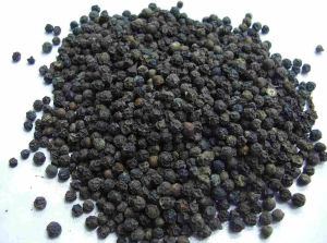 Organic Black Pepper Seeds