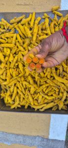 Salem Dried Turmeric Finger