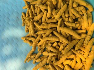 Salem Dried Turmeric Finger