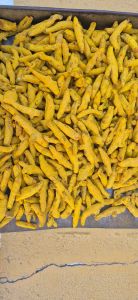 Salem Dried Turmeric Finger