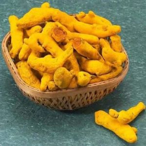 Europe Grade Turmeric Finger