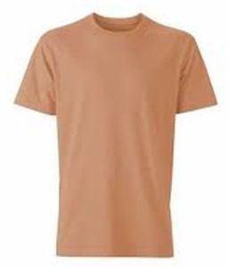 Mens Beige Round Neck T-Shirts