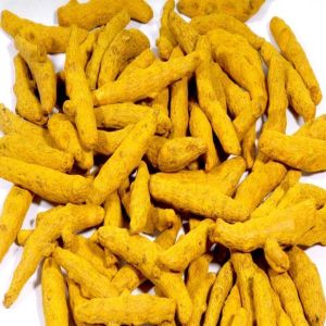 Nizamabad Turmeric Finger