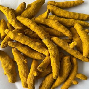 Single Polished Turmeric Finger