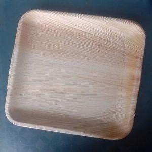 9 Inch Areca Leaf Square Plate
