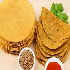 Premium Masala Khakhra