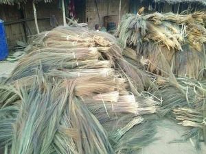 Grass Broom Raw Material