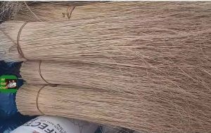 Indonesian Coconut Broom Raw Material