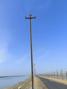 Pole Erection Services