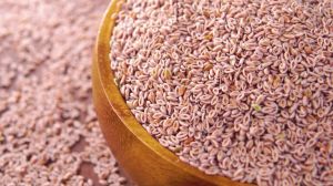 Psyllium Husk Seed
