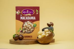 Premium Macadamia Nuts