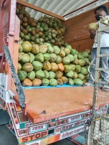 Tender Coconut