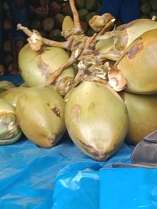 Tender Coconut