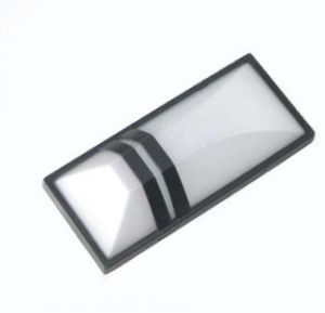 Bulkhead Light