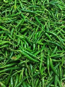 Green Chili