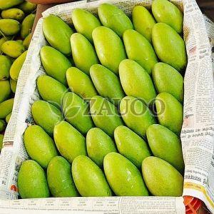 A Grade Fresh Dasheri Mango