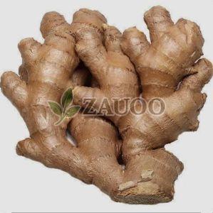 A Grade Fresh Ginger