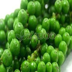 A Grade Fresh Green Pepper