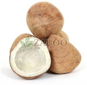 Brown Dry Coconut