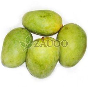 Fresh Chaunsa Mango