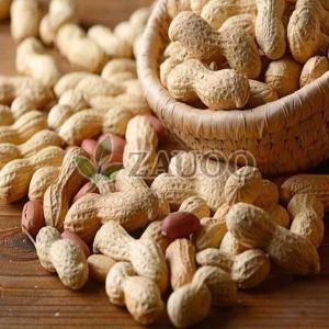 Shelled Groundnuts