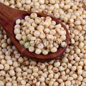 Sorghum Millet Seed