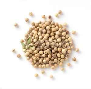 White Pepper Seeds