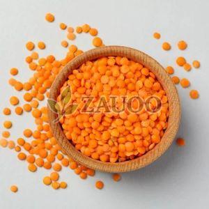 Whole Red Lentil