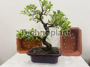 Plastic Planter