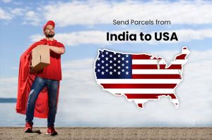 International Courier Service for USA