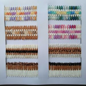 Multi Colored Piping Border Lace