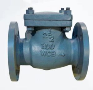 Cast Carbon Steel Swing Check Valve