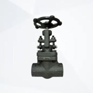 Class 800 High Pressure Forged Steel Globe Valve