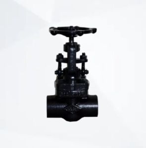 Class 800 Screwed End Forged Steel Gate Valve