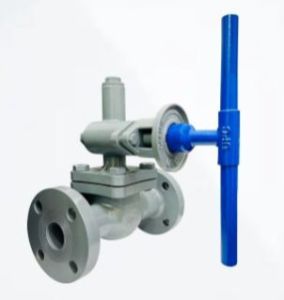 CS Flanged Parallel Slide Blowdown Valve